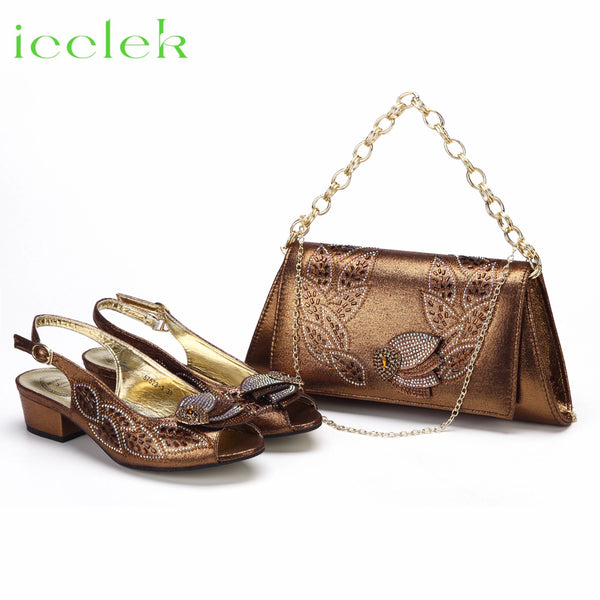 Elegant Low Heels Ladies Shoes And Bag Set