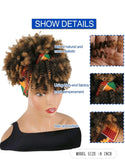 LydiaMFashions 2 in 1 Brown Curly Hair With Bangs Wig