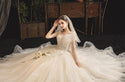 New Shiny Princess Wedding Dress with Luxurious Lace | EdleessFashion